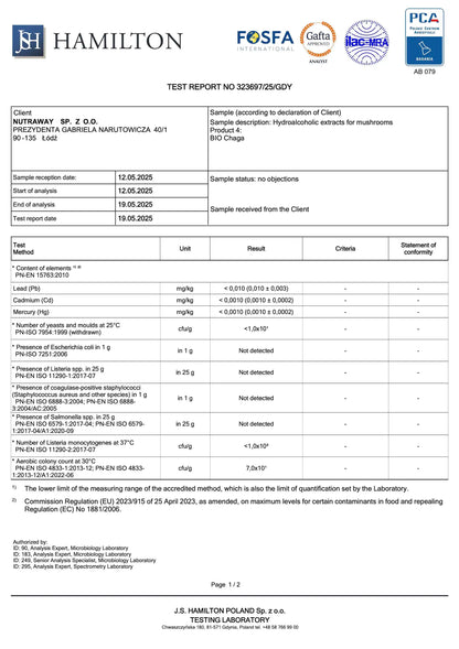 BIO Chaga: Antioxidans+