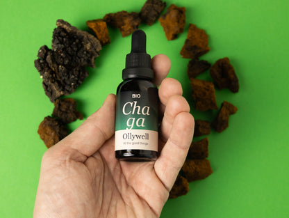 BIO Chaga: Antioxidans+