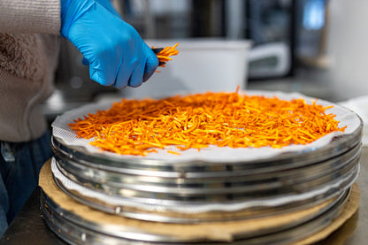 BIO Cordyceps: Energie+