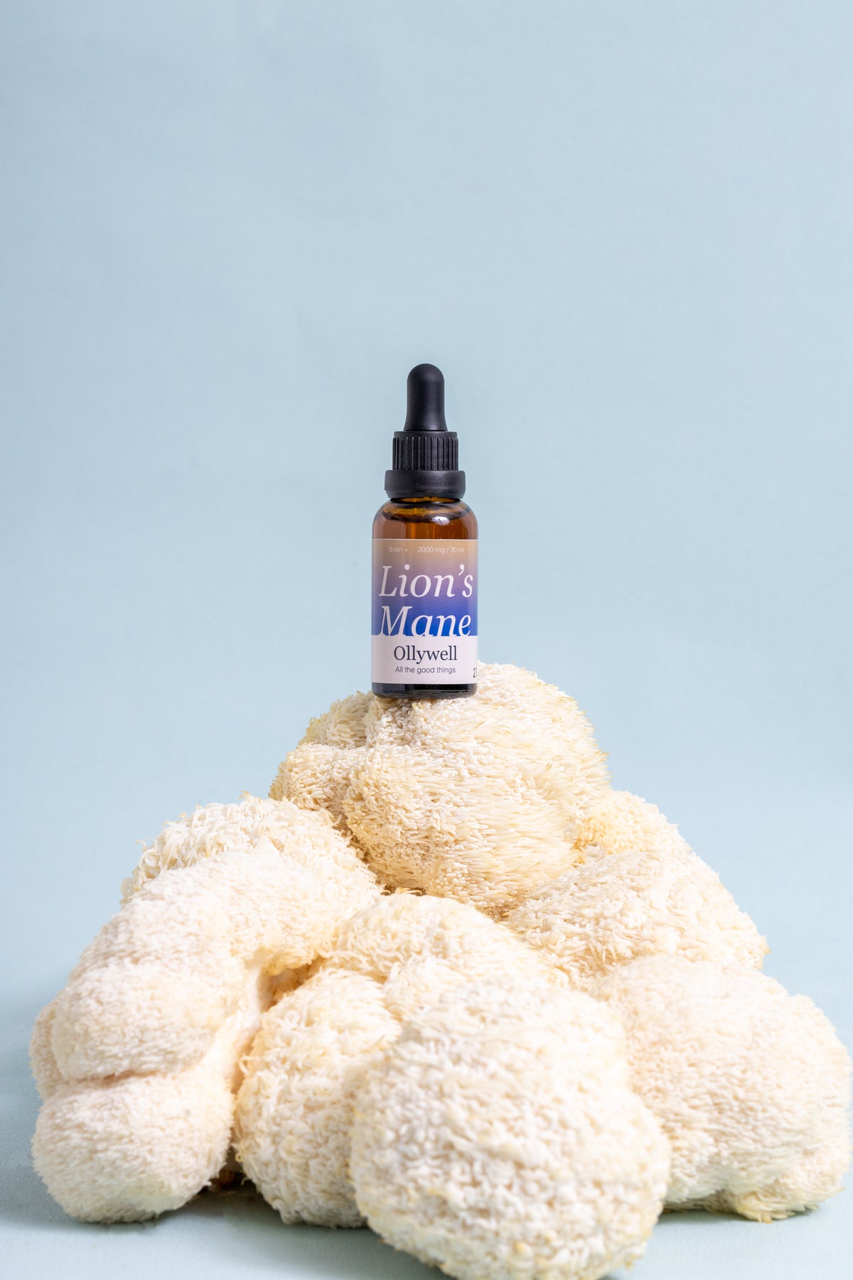 BIO Lion's Mane Brain+