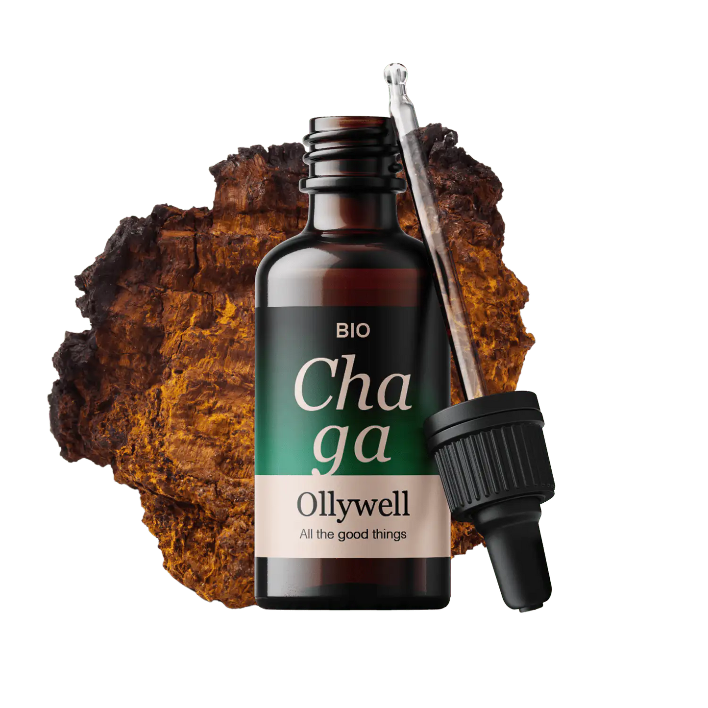 BIO Chaga: Antioxidans+