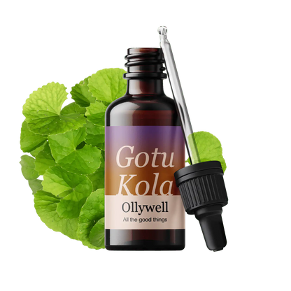 Gotu Kola: Erneuerung+